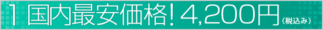 国内最安！4,200円（税込）